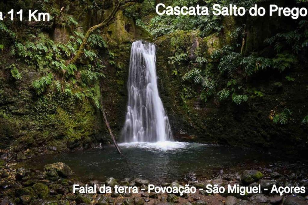 The Spot - Ilha De Sao Miguel Villa Povoacao  Eksteriør billede